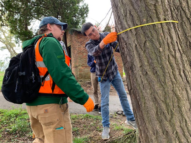 Workshop participants measure a hemlock tree diameter.