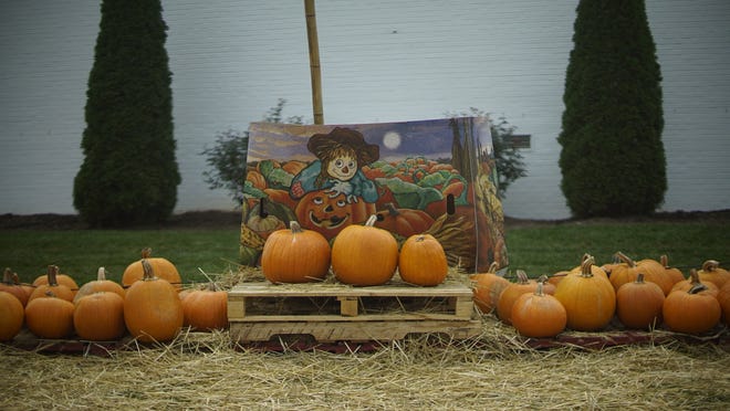 A pumpkin patch set up on State Street in downtown Black Mountain on Oct. 8, 2020.